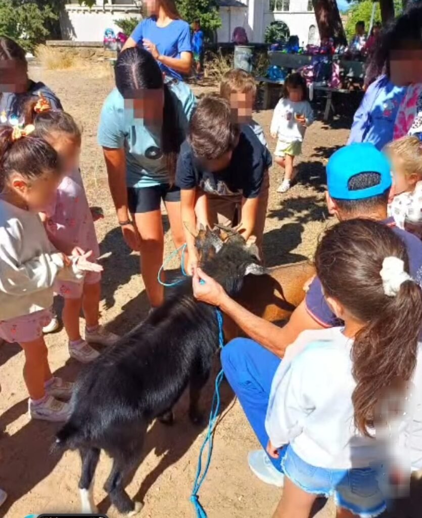Niños acariciando a perros